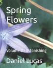 Image for Spring Flowers : Volume 111 Astonishing