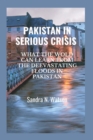 Image for Pakistan in Serious Crisis : What the Wold Can Learn from the Deevastating Floods in Pakistan
