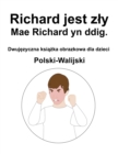 Image for Polski-Walijski Richard jest zly / Mae Richard yn ddig. Dwujezyczna ksiazka obrazkowa dla dzieci