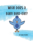 Image for What Does A Baby Bird Eat?