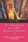 Image for The Adventures of a Little Dinosaur Dinowills 3 : Dinosaur rescues Koalas from the forest fire