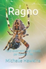 Image for Ragno : Fatti divertenti sugli insetti per bambini #9