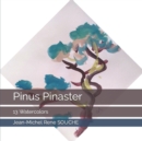 Image for Pinus Pinaster.