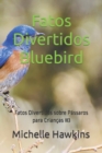 Image for Fatos Divertidos Bluebird