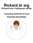 Image for Svenska-Somaliska Rickard ar arg / Richard wuu Cadhaysan yahay Tvasprakig bilderbok foer barn