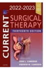 Image for Surgical Therapy