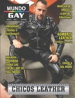 Image for Revista Mundo Gay Julio 2022