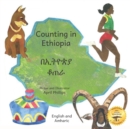 Image for Counting In Ethiopia