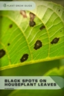 Image for Black Spots On Houseplant Leaves : Plants guide