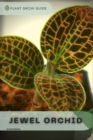 Image for Jewel Orchid : Plants guide