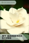 Image for My Gardenia Dying : Plants guide