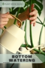Image for Bottom Watering : Plants guide