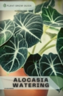 Image for Alocasia Watering : Plants guide