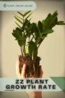 Image for ZZ Plant Growth Rate : Plants guide