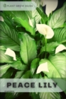 Image for Peace Lily : Plants guide