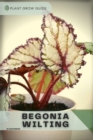 Image for Begonia Wilting : Plants guide