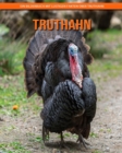 Image for Truthahn : Ein Bilderbuch mit lustigen Fakten uber Truthahn