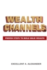 Image for Wealth Channels : Proven Steps to Build Solid Wealth
