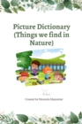 Image for Picture Dictionary : Things we find in Nature