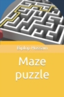 Image for Maze puzzle