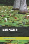 Image for Maze Puzzle 9