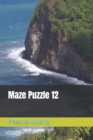 Image for Maze Puzzle 12