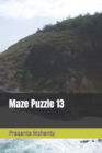 Image for Maze Puzzle 13