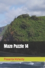 Image for Maze Puzzle 14