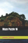 Image for Maze Puzzle 16