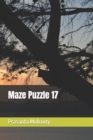 Image for Maze Puzzle 17