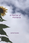 Image for A Feather of Moments