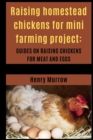 Image for Raising homestead chickens for mini farming project