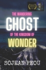Image for The Wandering Ghost of the Kingdom of Wonder