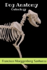 Image for Dog Anatomy : Osteology