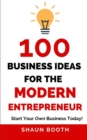 Image for 100 Business Ideas for the Modern Entrepreneur