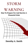 Image for Storm Warning : How To Prepare For And Survive A Financial Crisis