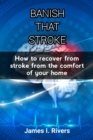Image for Banish That Stroke : How to recover from stroke from the comfort of your home