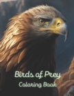 Image for Birds of Prey Coloring Book : A painting fun for children and adults