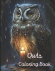 Image for Owls Coloring Book : A painting fun for children and adults. Book Cover 1