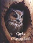 Image for Owl Coloring Book : A painting fun for children and adults. Book Cover 2