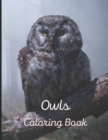 Image for Owl Coloring Book : A painting fun for children and adults. Book Cover 3