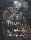 Image for Owls Coloring book : A painting fun for children and adults. Book Cover 4