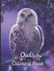 Image for Owls Coloring Book : A painting fun for children and adults. Book Cover 5