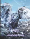 Image for Owls Coloring Book : A painting fun for children and adults