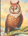 Image for Owls Coloring Book
