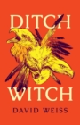 Image for Ditch Witch