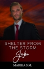 Image for Shelter From The Storm - Jake