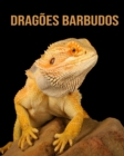 Image for Dragoes Barbudos
