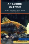 Image for Aquarium Catfish : 10 Best Aquarium Catfish Species (With Pictures)