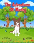 Image for The Adventures of Marley : The Adventures of Marley